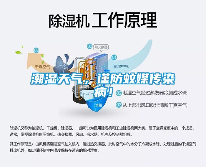 潮湿天气，谨防蚊媒传染病！