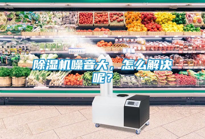 除湿机噪音大，怎么解决呢？