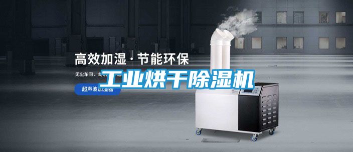 工业烘干除湿机