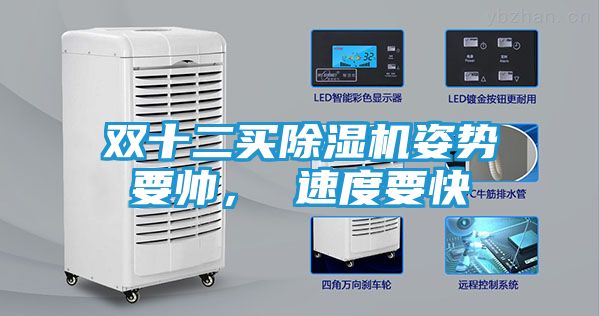 双十二买除湿机姿势要帅， 速度要快