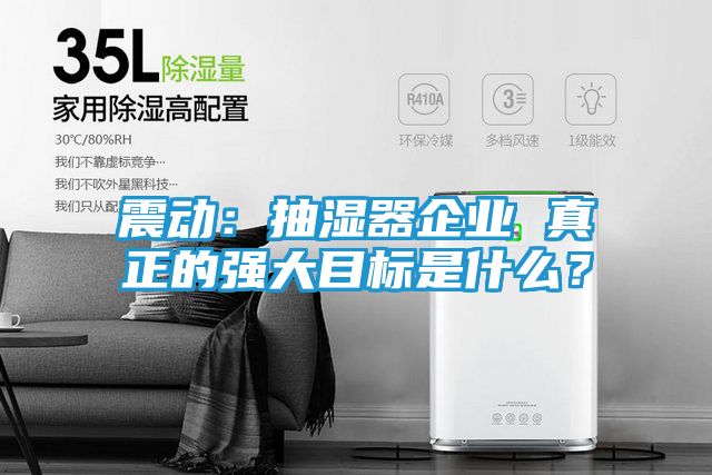 震动：抽湿器企业 真正的强大目标是什么？
