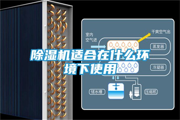 除湿机适合在什么环境下使用