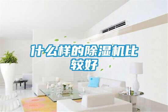 什么样的除湿机比较好