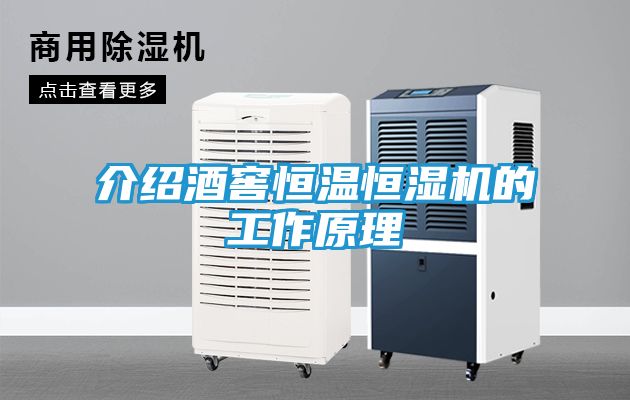 介绍酒窖恒温恒湿机的工作原理