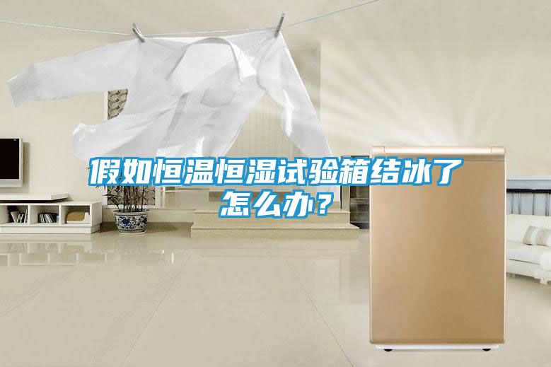 假如恒温恒湿试验箱结冰了怎么办？
