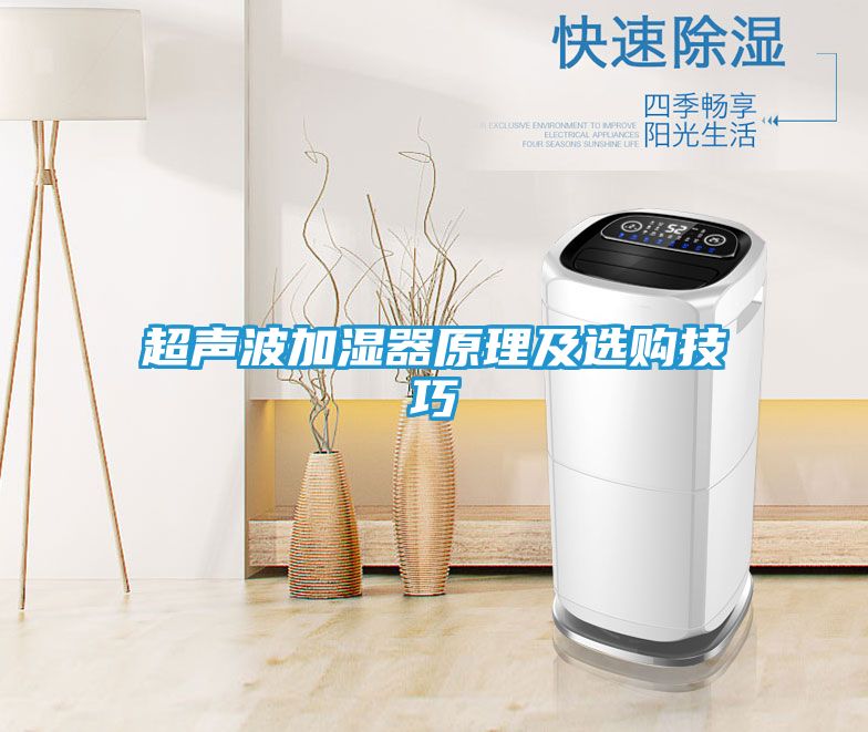 超声波加湿器原理及选购技巧