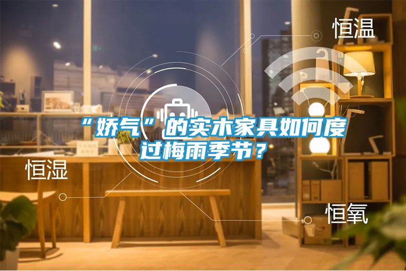 “娇气”的实木家具如何度过梅雨季节？