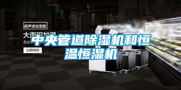 中央管道除湿机和恒温恒湿机