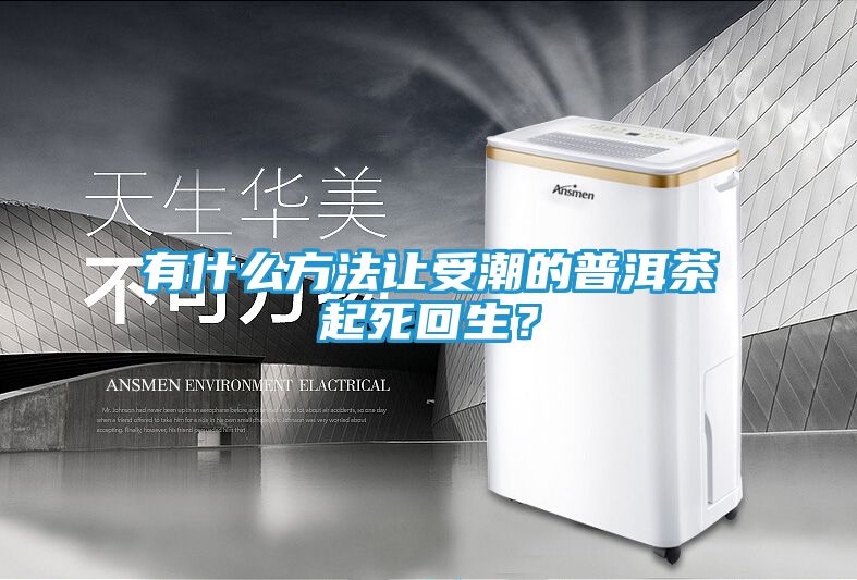 有什么方法让受潮的普洱茶起死回生？