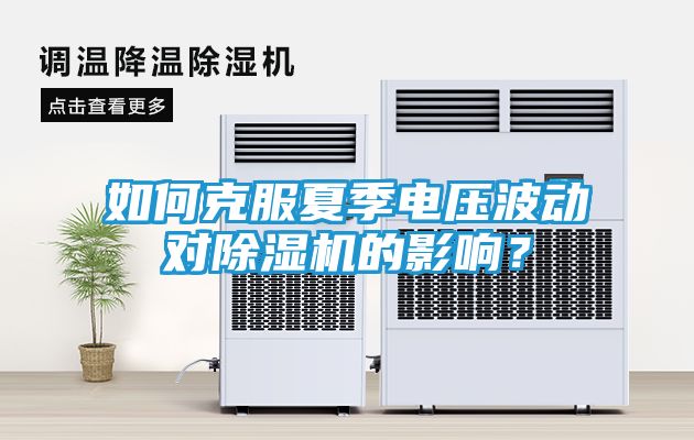 如何克服夏季电压波动对除湿机的影响？