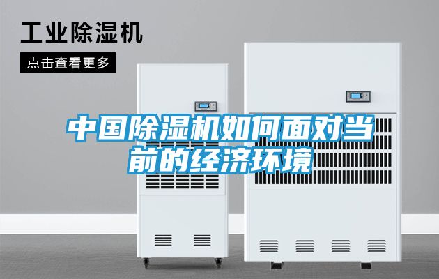 中国除湿机如何面对当前的经济环境