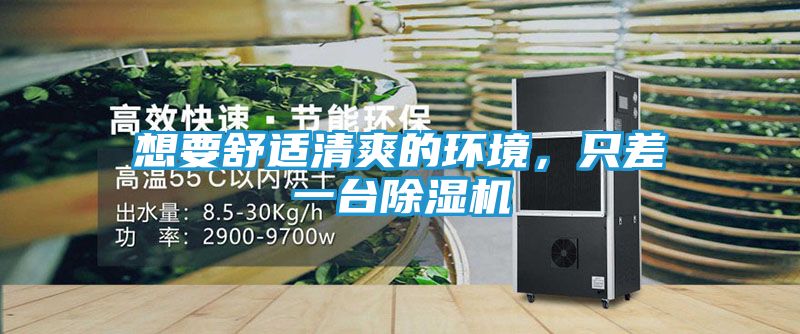 想要舒适清爽的环境，只差一台除湿机