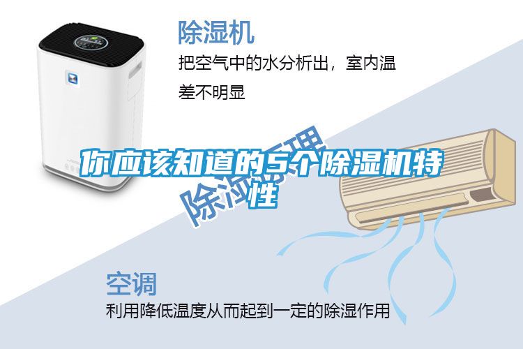 你应该知道的5个除湿机特性