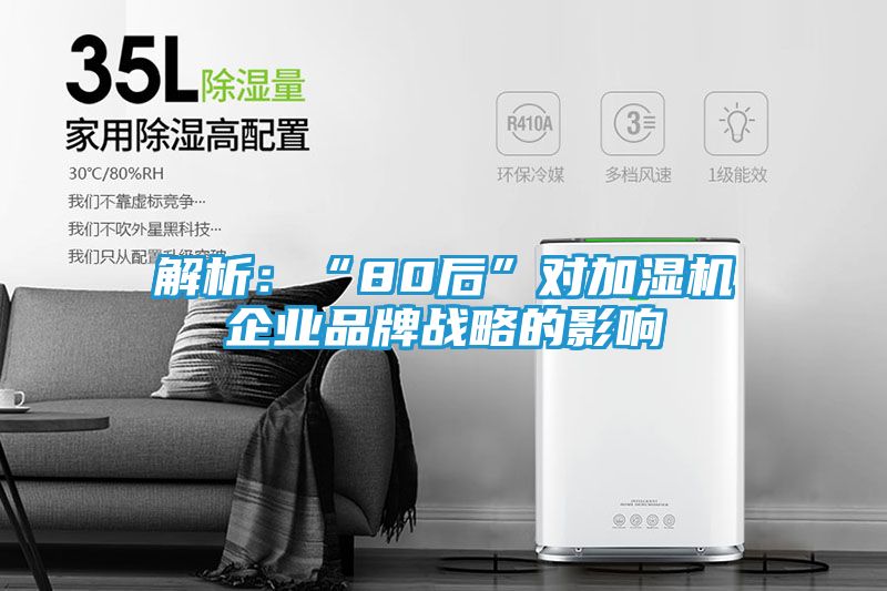 解析：“80后”对加湿机企业品牌战略的影响