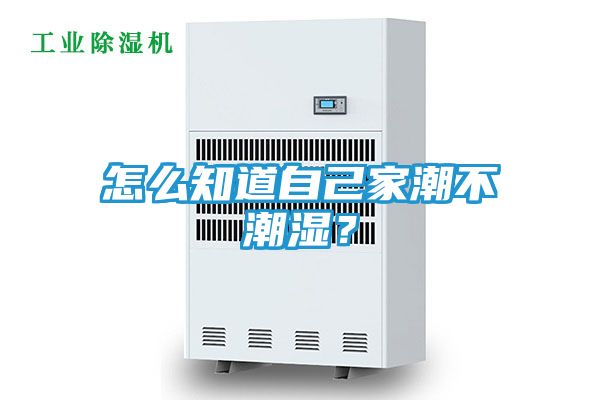 怎么知道自己家潮不潮湿？