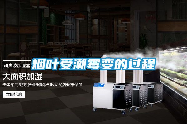 烟叶受潮霉变的过程