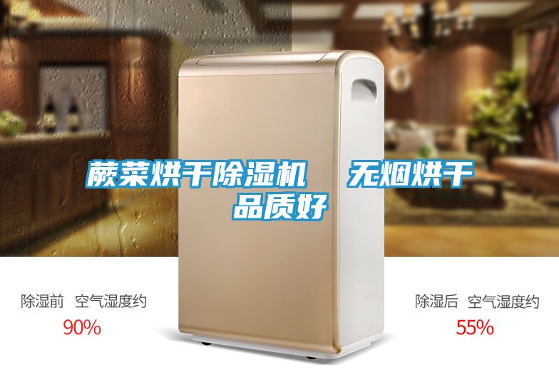蕨菜烘干除湿机  无烟烘干品质好