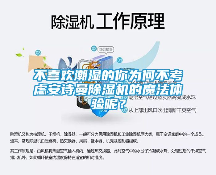 不喜欢潮湿的你为何不考虑安诗曼除湿机的魔法体验呢？