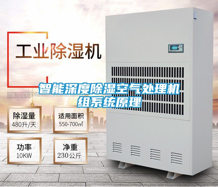 智能深度除湿空气处理机组系统原理