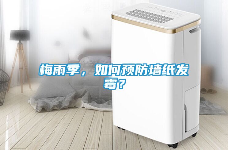 梅雨季，如何预防墙纸发霉？