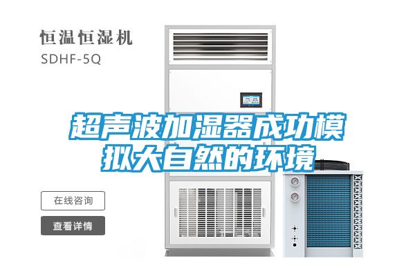 超声波加湿器成功模拟大自然的环境