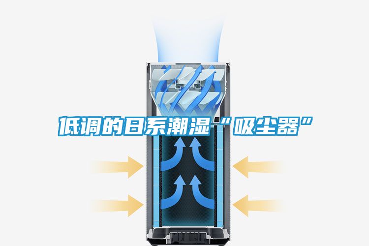 低调的日系潮湿“吸尘器”