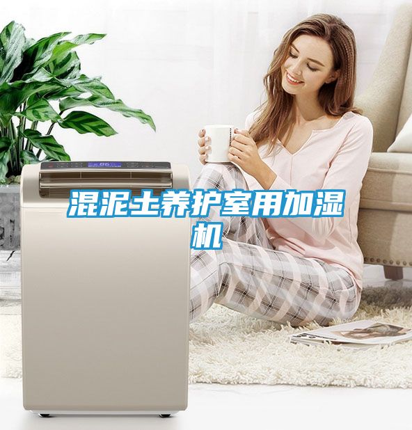 混泥土养护室用加湿机