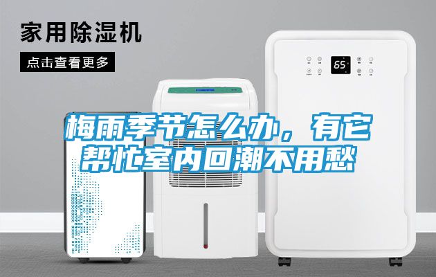 梅雨季节怎么办，有它帮忙室内回潮不用愁