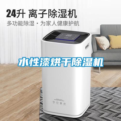 水性漆烘干除湿机