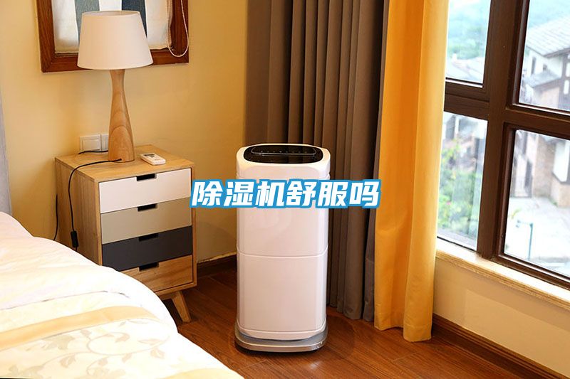 除湿机舒服吗