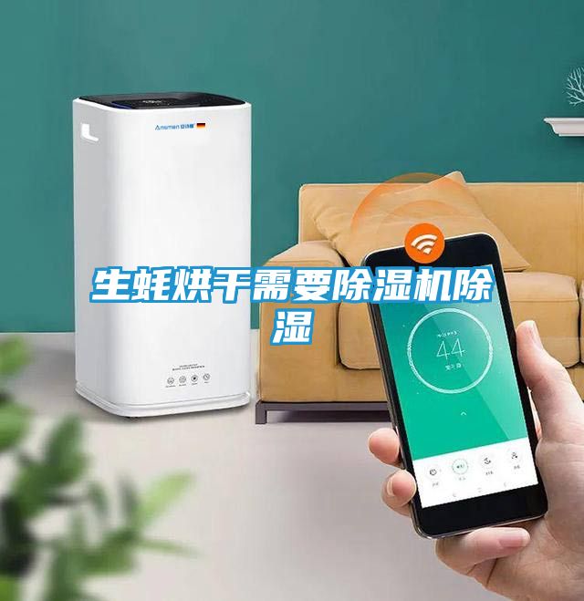 生蚝烘干需要除湿机除湿