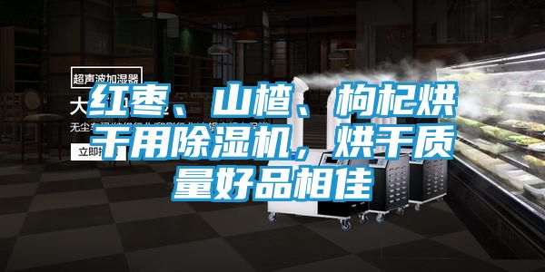 红枣、山楂、枸杞烘干用除湿机，烘干质量好品相佳