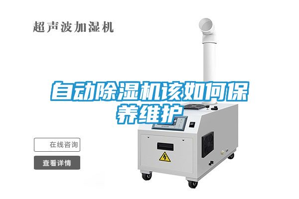 自动除湿机该如何保养维护
