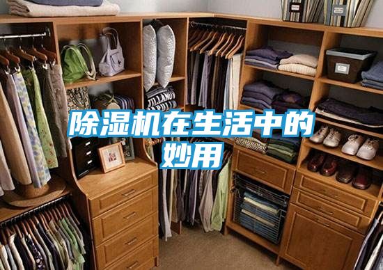 除湿机在生活中的妙用