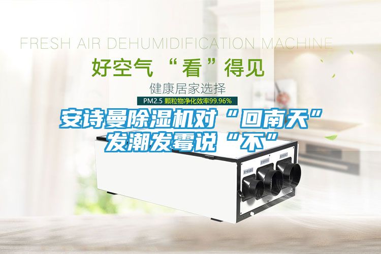 安诗曼除湿机对“回南天”发潮发霉说“不”