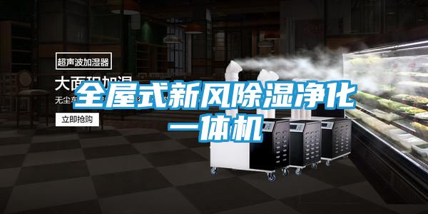 全屋式新风除湿净化一体机