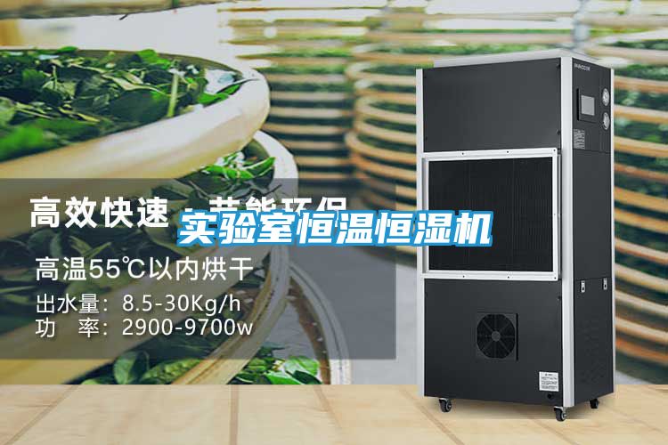 实验室恒温恒湿机