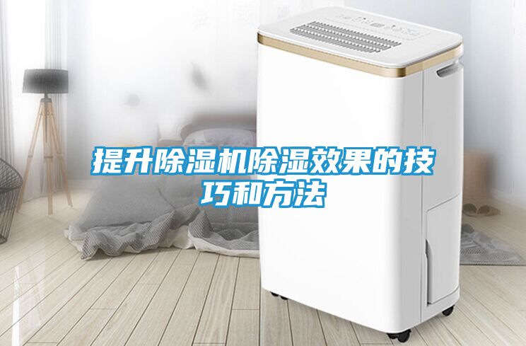 提升除湿机除湿效果的技巧和方法