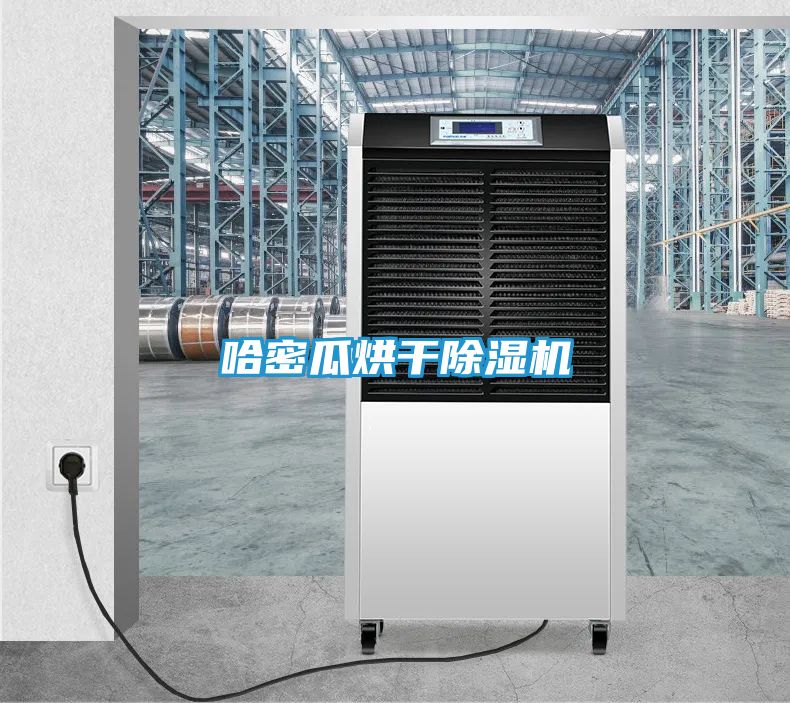 哈密瓜烘干除湿机