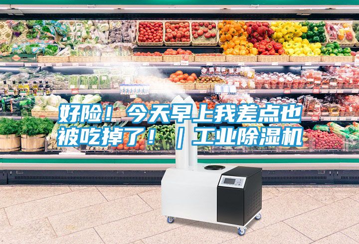 好险！今天早上我差点也被吃掉了！｜工业除湿机