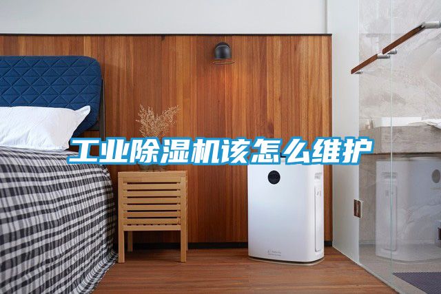 工业除湿机该怎么维护