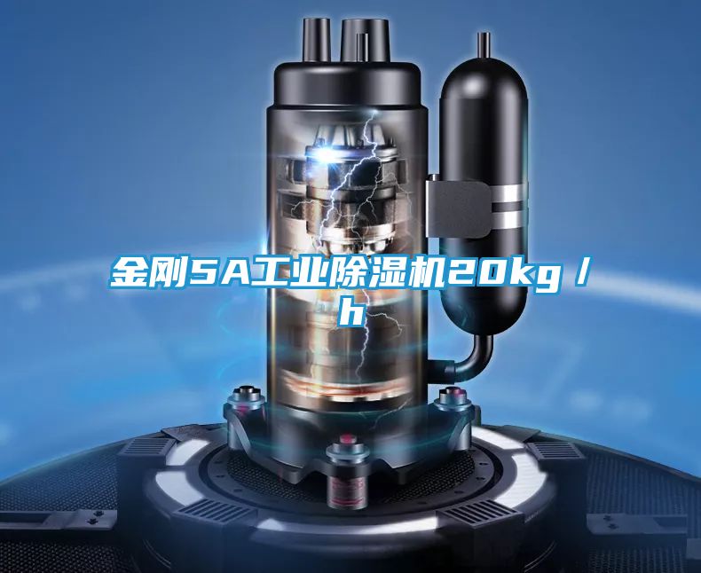 金刚5A工业除湿机20kg／h