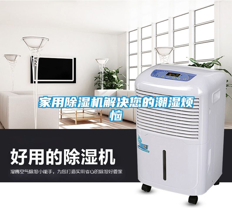 家用除湿机解决您的潮湿烦恼