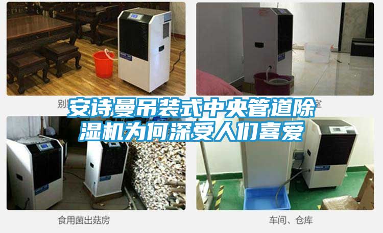 安诗曼吊装式中央管道除湿机为何深受人们喜爱