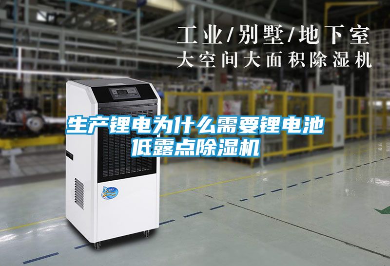 生产锂电为什么需要锂电池低露点除湿机