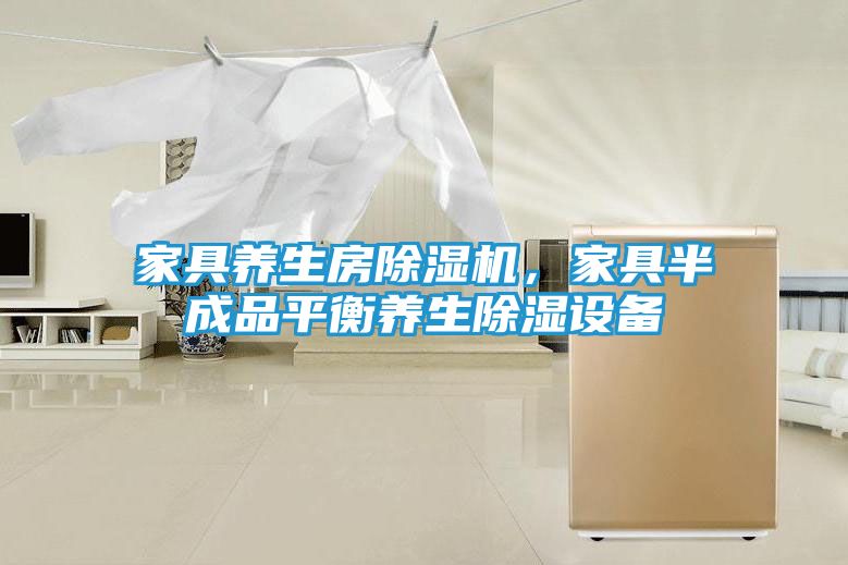家具养生房除湿机，家具半成品平衡养生除湿设备