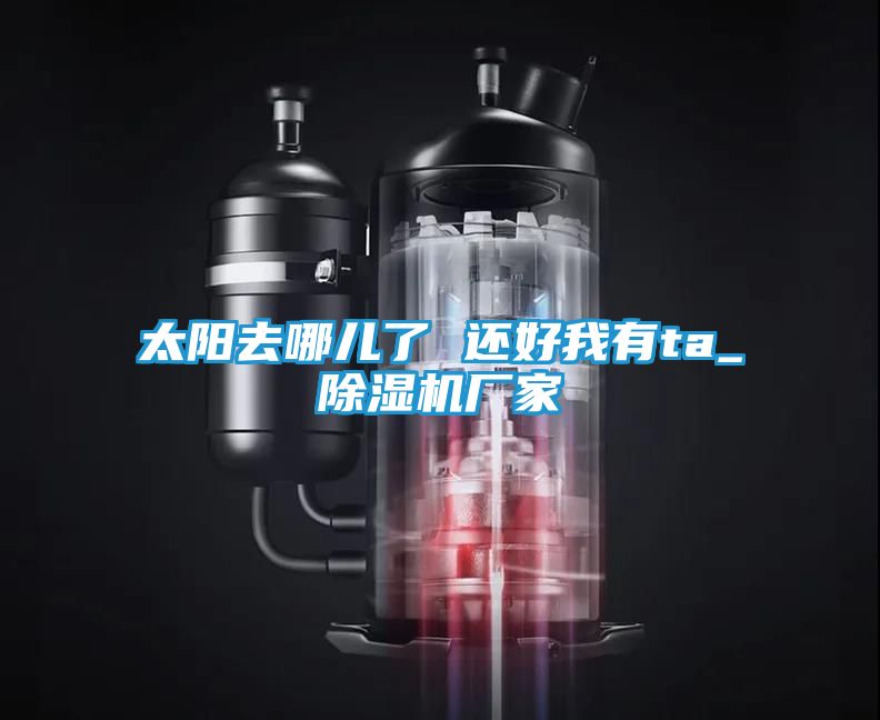 太阳去哪儿了 还好我有ta_除湿机厂家