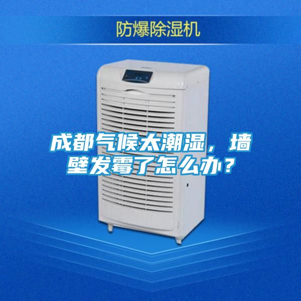 成都气候太潮湿，墙壁发霉了怎么办？
