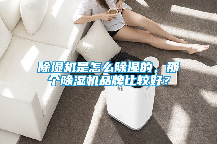 除湿机是怎么除湿的，那个除湿机品牌比较好？