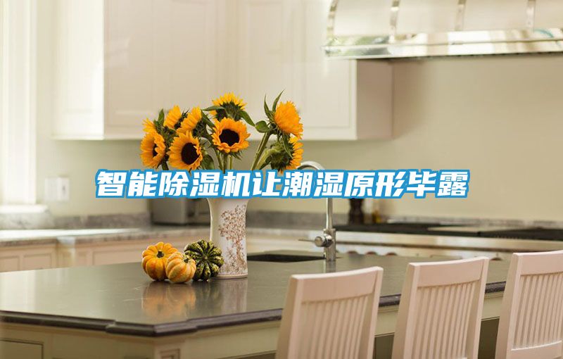 智能除湿机让潮湿原形毕露